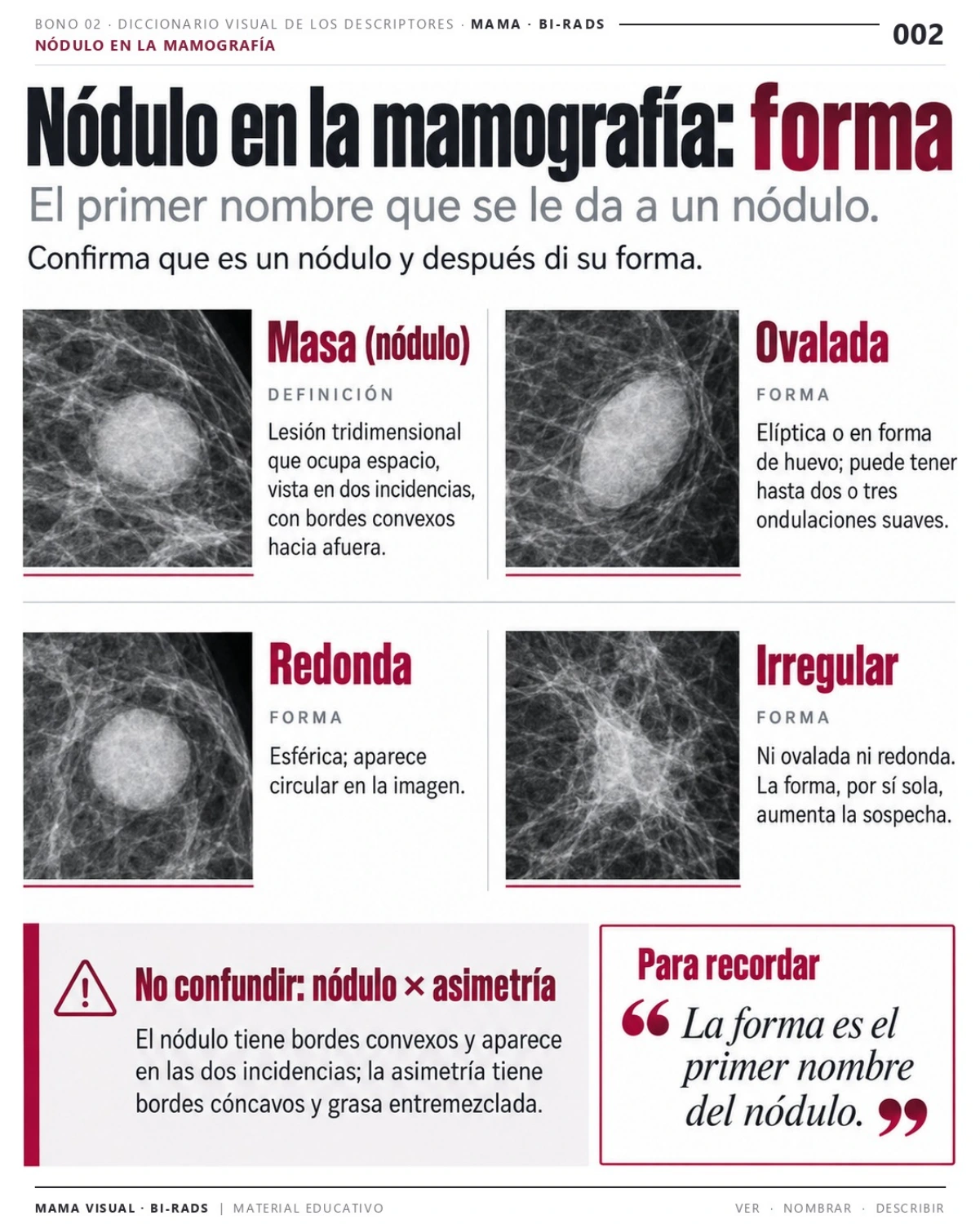 Página del bono: Diccionario Visual de Descriptores