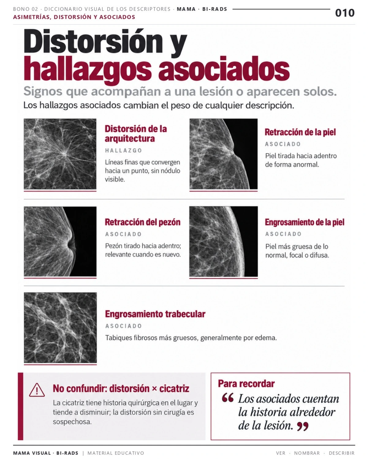 Página 10: Distorsión y hallazgos asociados. Vista previa del PDF Mama Visual BI-RADS; imágenes didácticas simuladas.