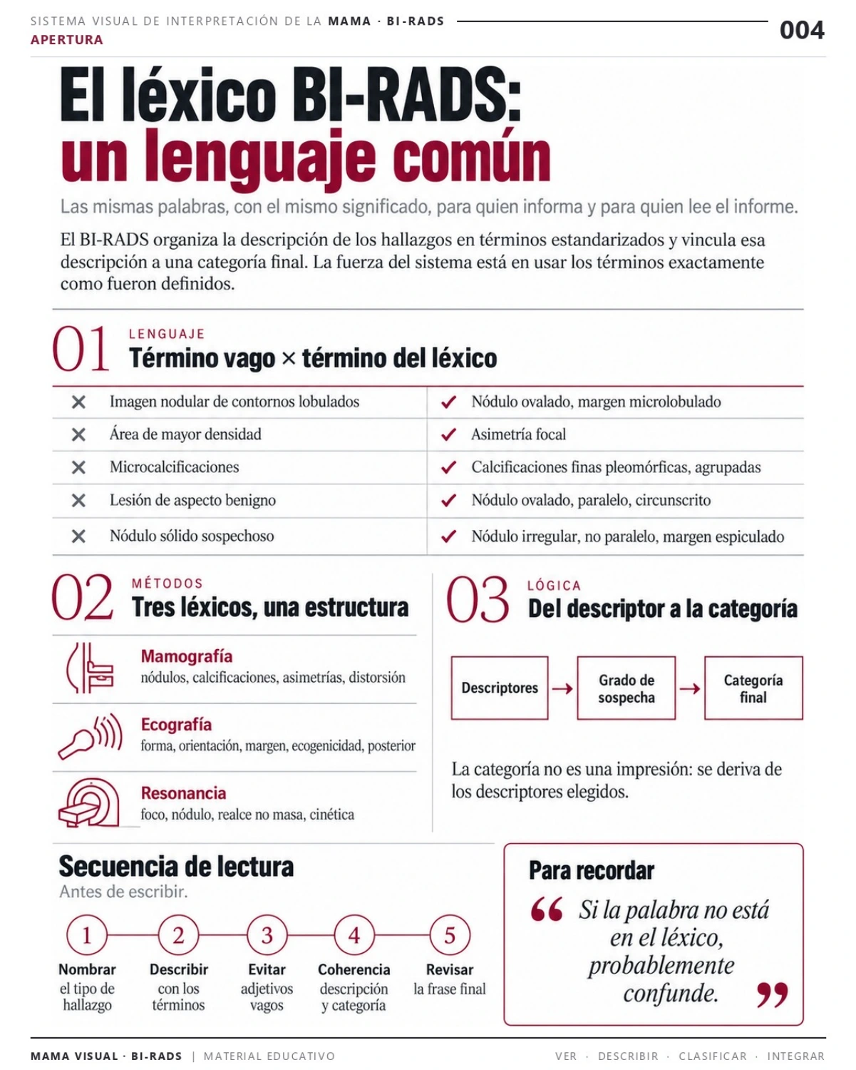 Página 4: El léxico BI-RADS: un lenguaje común. Vista previa del PDF Mama Visual BI-RADS; imágenes didácticas simuladas.
