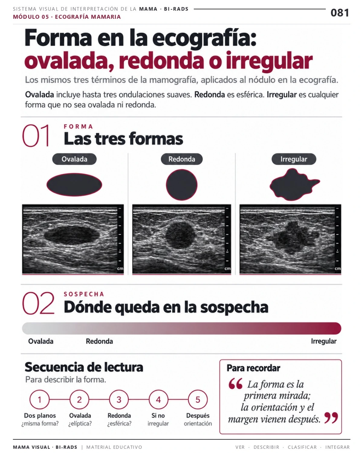 Página 81: Forma en ecografía: ovalada, redonda o irregular. Vista previa del PDF Mama Visual BI-RADS; imágenes didácticas simuladas.